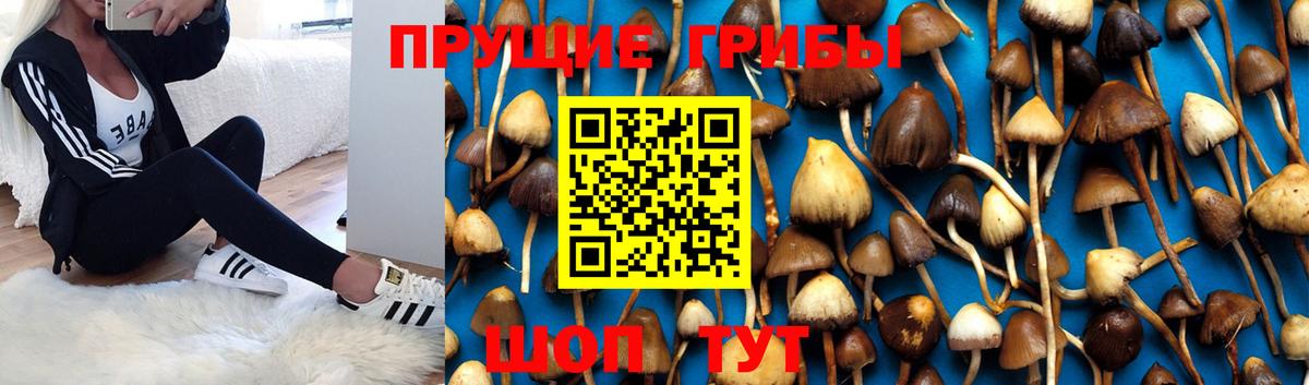 Галлюциногенные грибы мухоморы  Вход с VPN  Сарапул 